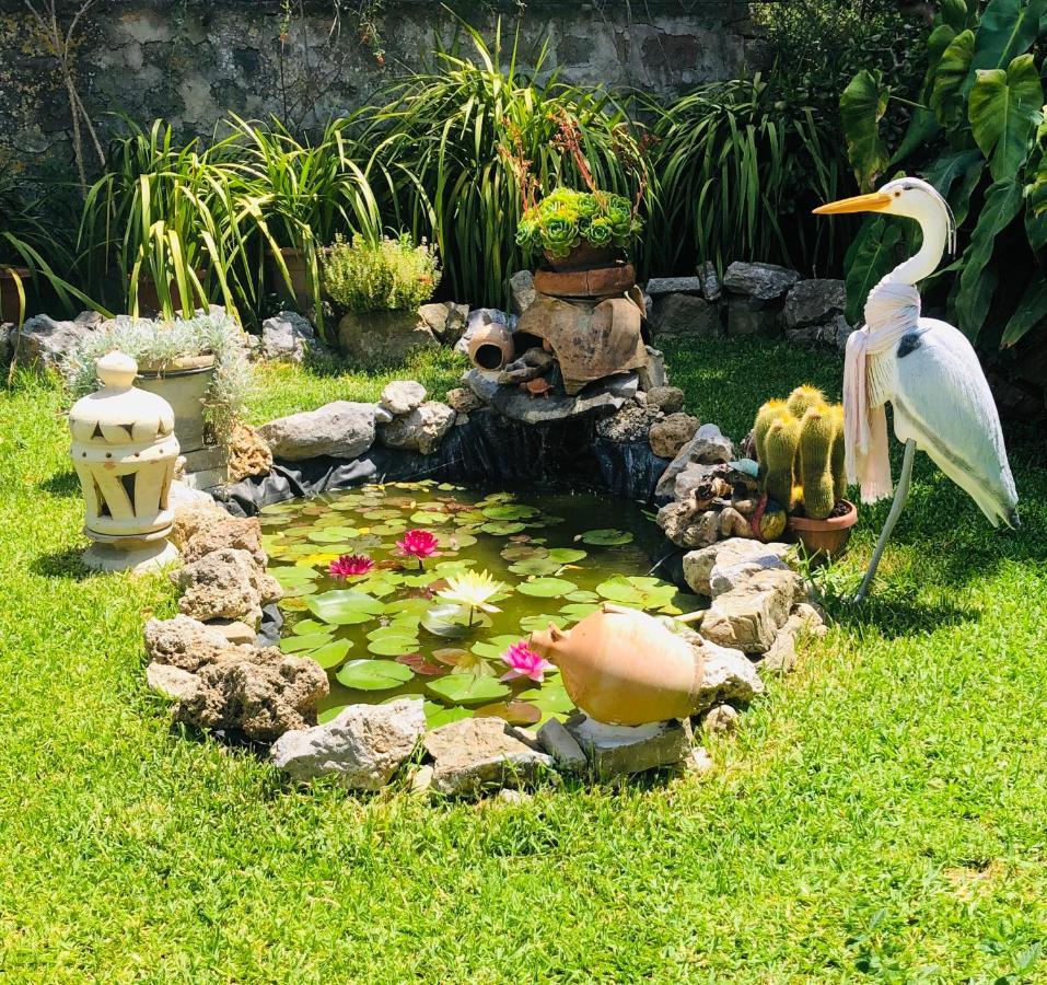 Il Vicolo Palinuro Villa Pisciotta Ngoại thất bức ảnh