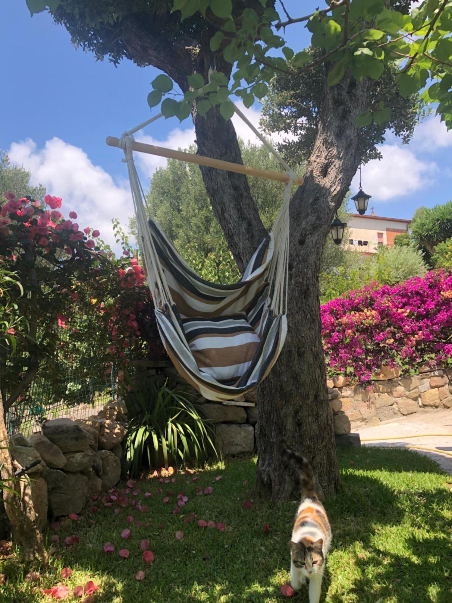 Il Vicolo Palinuro Villa Pisciotta Ngoại thất bức ảnh