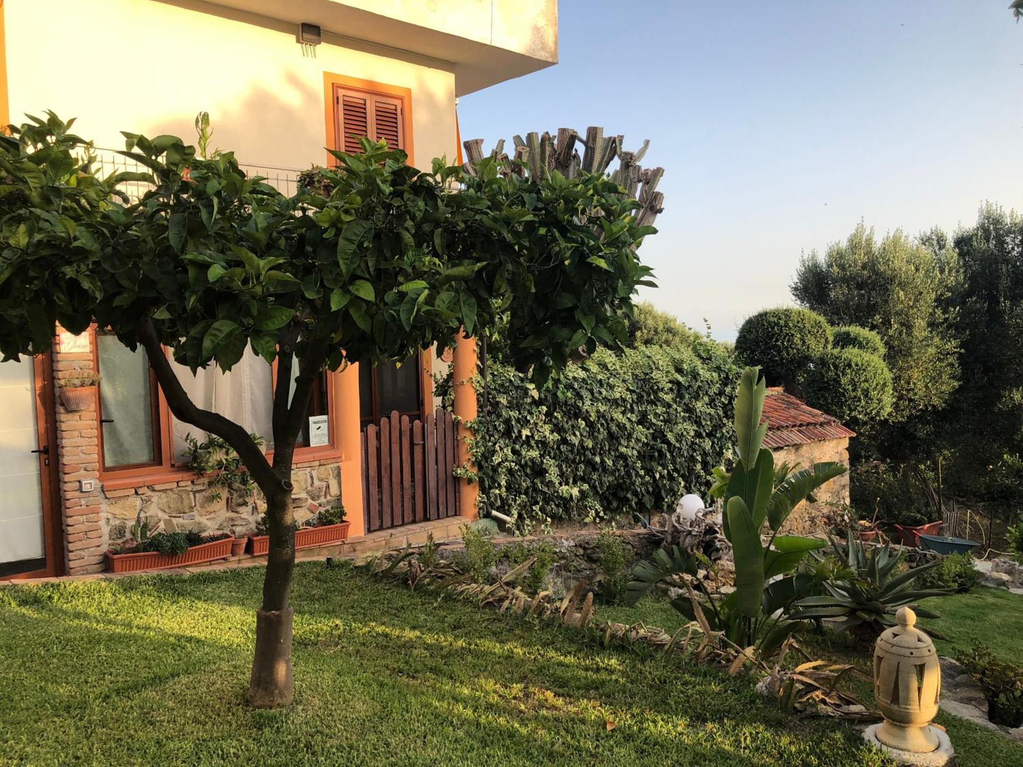 Il Vicolo Palinuro Villa Pisciotta Ngoại thất bức ảnh